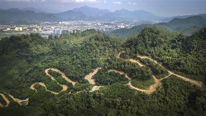 SEA Games 31: Provincia vietnamita revisa preparativos para competición ciclista ảnh 1 SEA Games 31: Provincia vietnamita revisa preparativos para competición ciclista ảnh 1