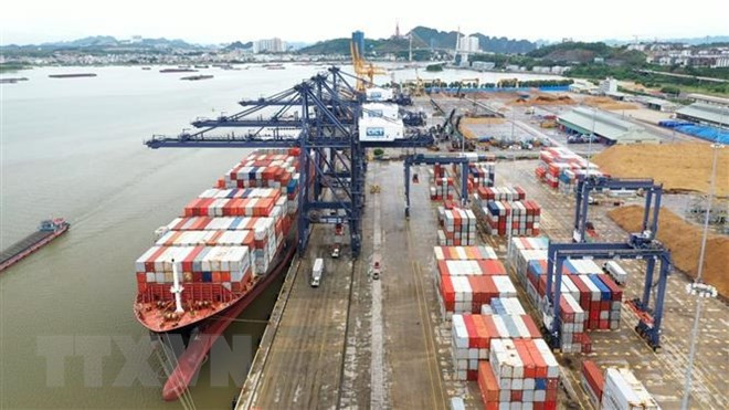 Proponen centrarse en desarrollar flota de contenedores de Vietnam para comercio exterior ảnh 1 Proponen centrarse en desarrollar flota de contenedores de Vietnam para comercio exterior ảnh 1