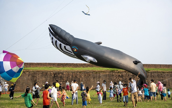 Festival de cometas gigantes en provincia central de Vietnam ảnh 1 Festival de cometas gigantes en provincia central de Vietnam ảnh 1