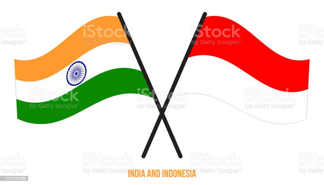 India e Indonesia realizan séptima consulta diplomática ảnh 1 India e Indonesia realizan séptima consulta diplomática ảnh 1