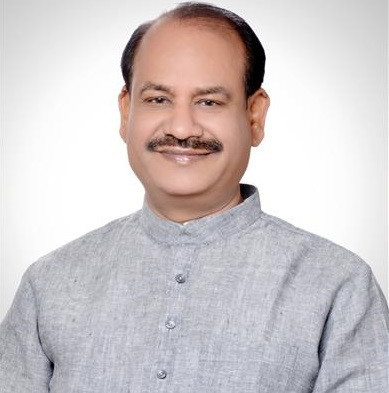 Presidente de la Cámara Baja de India realiza visita a Vietnam ảnh 1