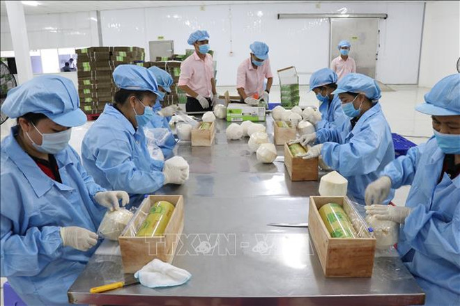 Respaldan a empresas vietnamita a exportar productos al mercado alemán ảnh 1