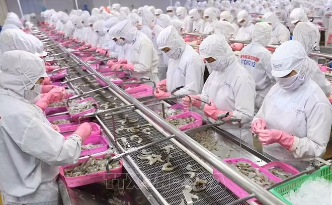 Exportaciones de camarón de Vietnam aumentarán en abril de 2022 ảnh 1