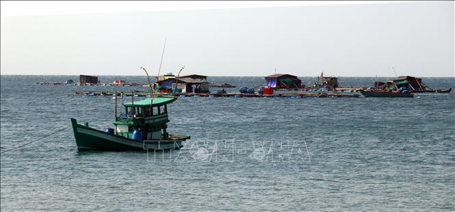 Provincia vietnamita busca enriquecerse por economía marítima ảnh 1