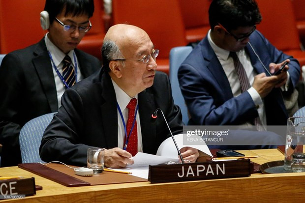 Manifiesta Japón confianza en elección de Vietnam al Consejo de Seguridad de la ONU ảnh 1