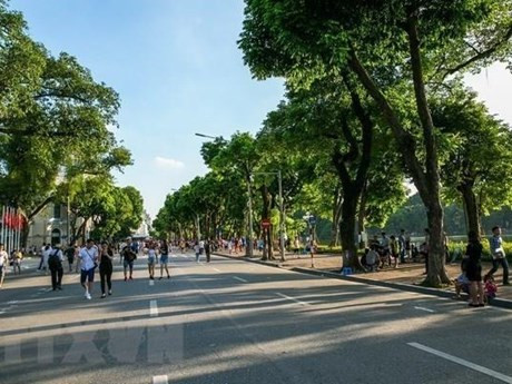 Organizan en Vietnam actividades por el Día Mundial de Medio Ambiente ảnh 1