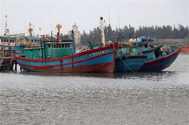 Pescadores de Vietnam se unen contra la "tarjeta amarilla" de Unión Europea ảnh 1 Pescadores de Vietnam se unen contra la "tarjeta amarilla" de Unión Europea ảnh 1