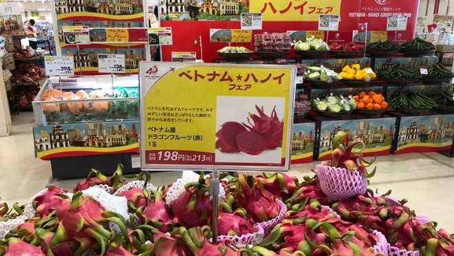 Fortalecen presencia de productos vietnamitas en Japón ảnh 1 Fortalecen presencia de productos vietnamitas en Japón ảnh 1