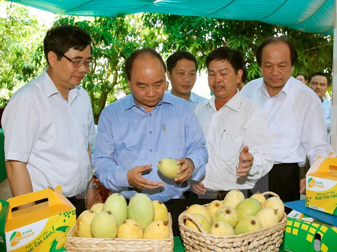 Primer ministro revisa labor de reestructuración agrícola en Dong Thap ảnh 1 Primer ministro revisa labor de reestructuración agrícola en Dong Thap ảnh 1
