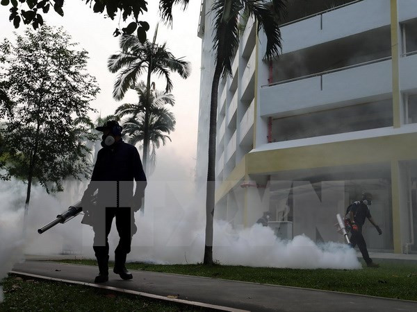 Singapur lanza campaña de eliminación de mosquitos para prevenir Zika ảnh 1 Singapur lanza campaña de eliminación de mosquitos para prevenir Zika ảnh 1