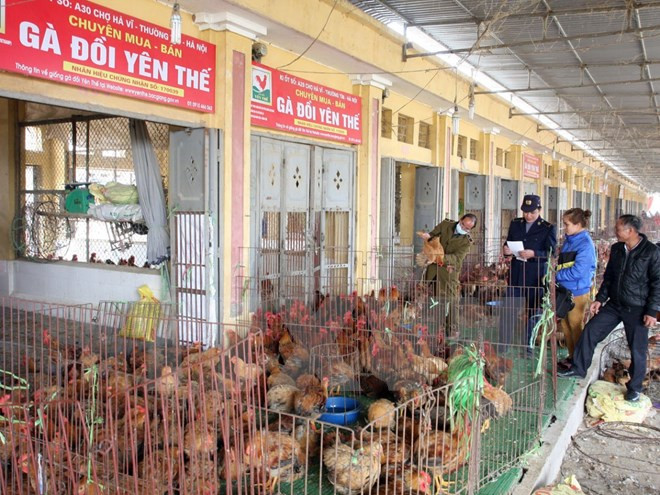 Hanoi realiza simulacro de prevención contra gripe aviar ảnh 1