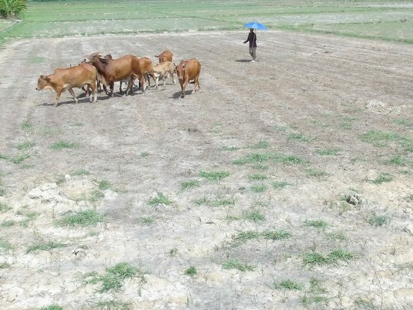 Premier inspecciona modelo de tratamiento de residuos “hecho en Vietnam” ảnh 1