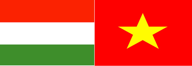 Conmemoran Día Nacional de Hungría en Ciudad Ho Chi Minh ảnh 1