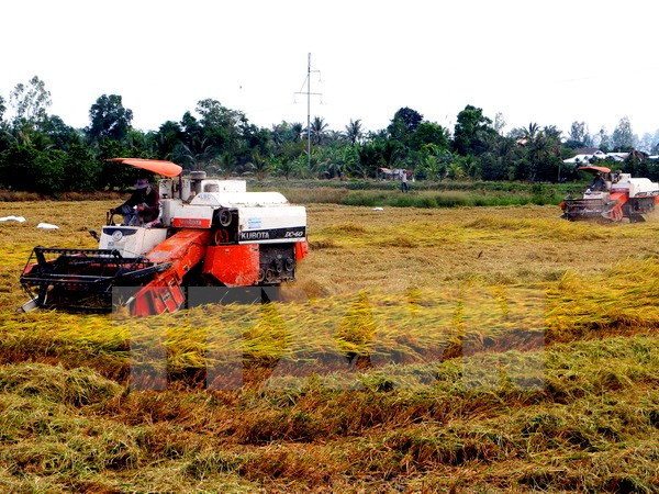 Inauguran Exposición internacional de agricultura en Vietnam ảnh 1 Inauguran Exposición internacional de agricultura en Vietnam ảnh 1