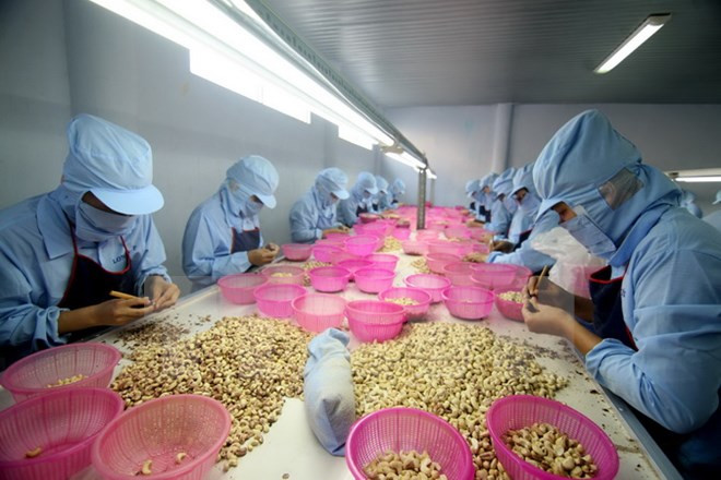 Ministros de ASEAN se comprometen a intensificar integración comercial ảnh 1 Ministros de ASEAN se comprometen a intensificar integración comercial ảnh 1