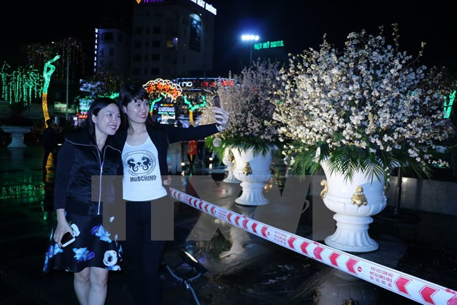 Celebran programa de intercambio cultural Vietnam-Japón ảnh 1 Celebran programa de intercambio cultural Vietnam-Japón ảnh 1