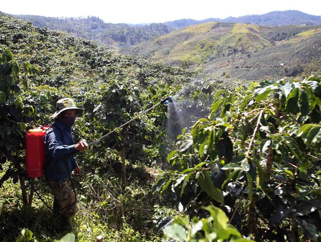 Región altiplánica prevé atraer 10 mil millones USD en capitales para 2020 ảnh 1 Región altiplánica prevé atraer 10 mil millones USD en capitales para 2020 ảnh 1