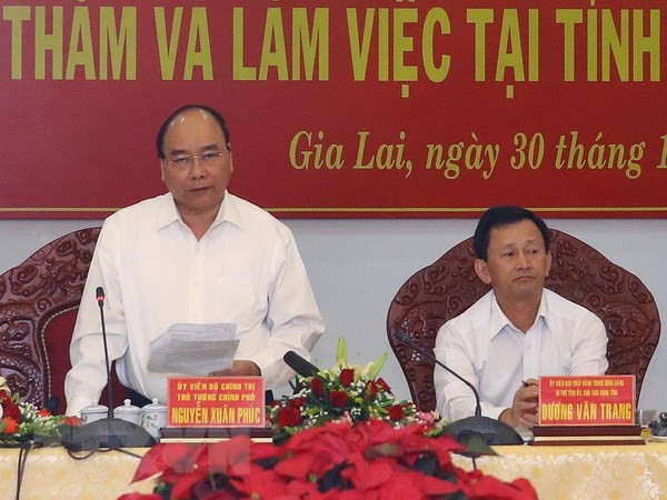 Premier vietnamita insta a provincia altiplana de Gia Lai aumentar la cobertura forestal ảnh 1 Premier vietnamita insta a provincia altiplana de Gia Lai aumentar la cobertura forestal ảnh 1