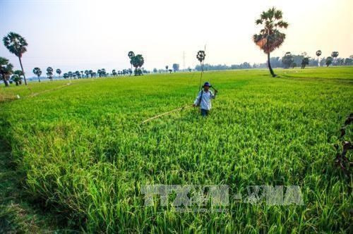 Hanoi impulsa el desarrollo cadena de producción y consumo de productos ảnh 1 Hanoi impulsa el desarrollo cadena de producción y consumo de productos ảnh 1