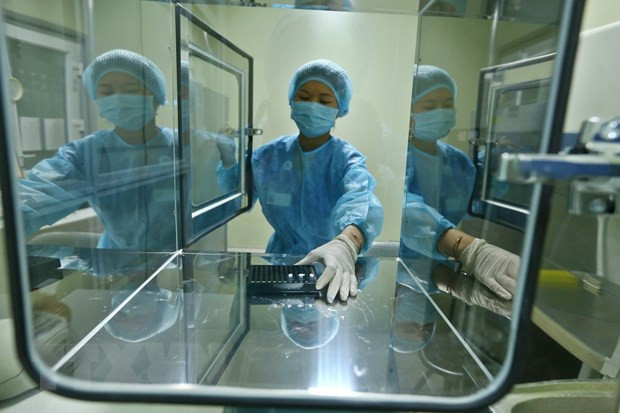 Vietnam reporta cinco casos nuevos del COVID-19 ảnh 1