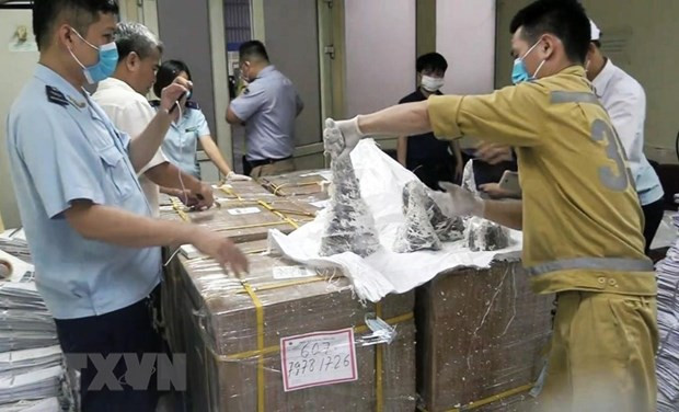 Vietnam enjuicia a acusado en red de comercio ilegal de cuernos de rinoceronte ảnh 1