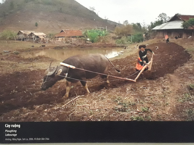 Las guerreras de Vietnam ảnh 11