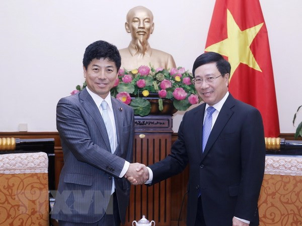 Vicepremier de Vietnam aspira a fomentar cooperación con Japón ảnh 1 Vicepremier de Vietnam aspira a fomentar cooperación con Japón ảnh 1
