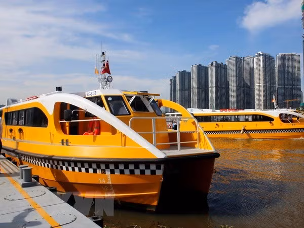 Ciudad Ho Chi Minh diversifica servicios turísticos locales ảnh 1