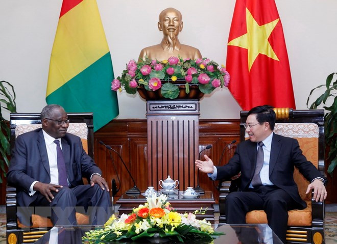 Vietnam y Guinea buscan ampliar la cooperación bilateral ảnh 1 Vietnam y Guinea buscan ampliar la cooperación bilateral ảnh 1