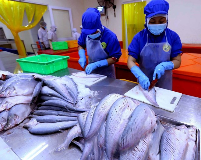 Exportaciones de productos acuícolas de Vietnam crecen 6,3 por ciento ảnh 1 Exportaciones de productos acuícolas de Vietnam crecen 6,3 por ciento ảnh 1