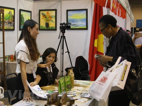 Embajador vietnamita destaca frutífera cooperación con Sudáfrica ảnh 1