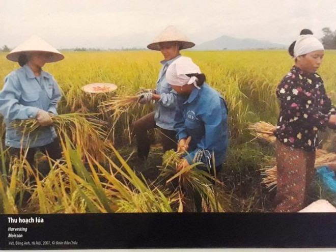 Las guerreras de Vietnam ảnh 10