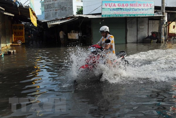Ciudad Ho Chi Minh llama a inversiones en proyectos de prevención de inundaciones y tratamiento de aguas ảnh 1