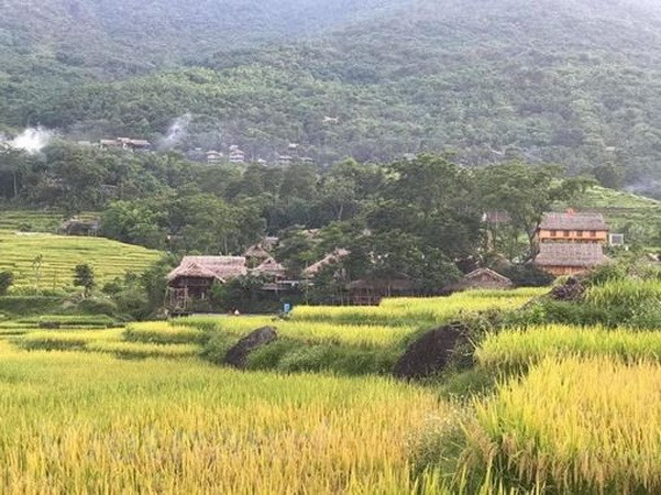 Descubren la reserva natural de Pu Luong en provincia de Thanh Hoa ảnh 2 Descubren la reserva natural de Pu Luong en provincia de Thanh Hoa ảnh 2
