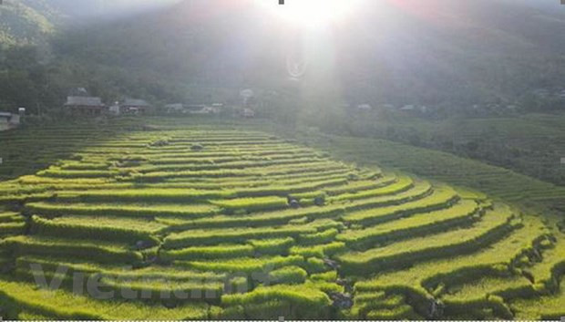 Descubren la reserva natural de Pu Luong en provincia de Thanh Hoa ảnh 1 Descubren la reserva natural de Pu Luong en provincia de Thanh Hoa ảnh 1