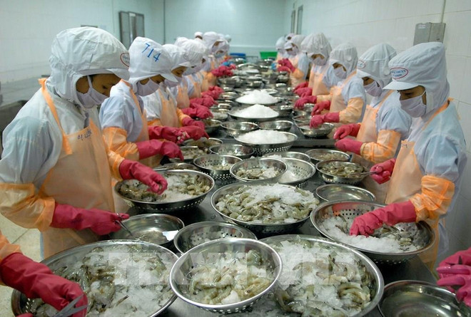 Economía de Vietnam en 2020 muestra capacidad de autonomía ảnh 2 Economía de Vietnam en 2020 muestra capacidad de autonomía ảnh 2