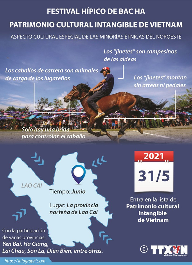 Preservan las características únicas de la carrera de caballos Bac Ha ảnh 2 Preservan las características únicas de la carrera de caballos Bac Ha ảnh 2