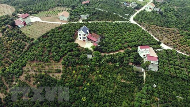 Bac Giang apunta a desarrollar el turismo de manera sostenible ảnh 2 Bac Giang apunta a desarrollar el turismo de manera sostenible ảnh 2