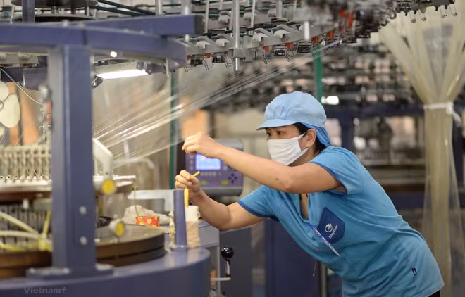Vietnam promueve programa de trabajo decente ảnh 1