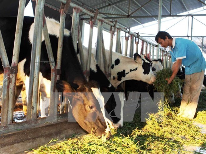 En Vietnam celebran feria de tecnología en procesamiento de alimentos ảnh 1 En Vietnam celebran feria de tecnología en procesamiento de alimentos ảnh 1
