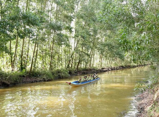 Intercambian Vietnam y Taiwán conocimientos sobre cambio climático en Delta de Mekong ảnh 1