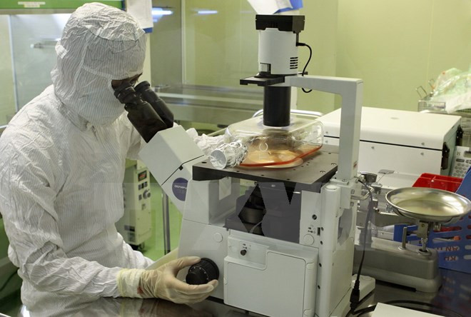 Niños vietnamitas recibirán vacunación gratuita contra sarampión y rubeola ảnh 1