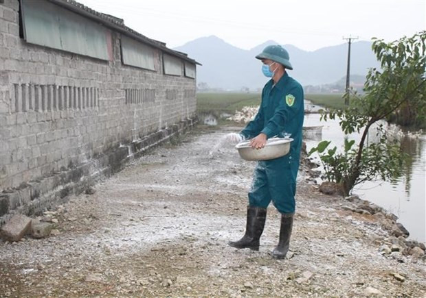 Primer Ministro vietnamita exhorta medidas drásticas para control de la gripe aviar ảnh 1 Primer Ministro vietnamita exhorta medidas drásticas para control de la gripe aviar ảnh 1