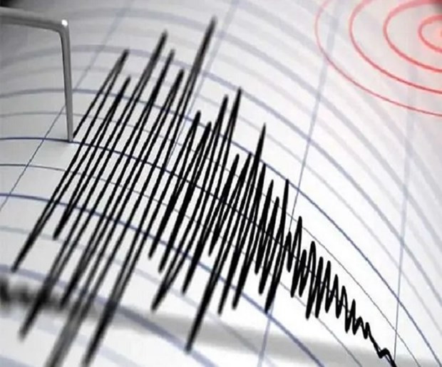 Sismo de magnitud 6,3 sacude el Sur de Filipinas ảnh 1