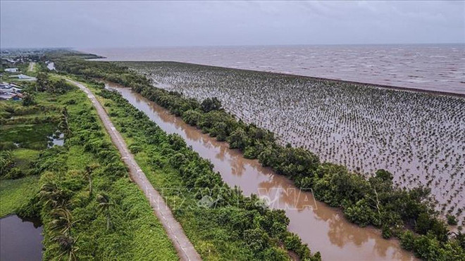 Agilizan desarrollo sostenible de delta del Mekong asociado con adaptación al cambio climático ảnh 1 Agilizan desarrollo sostenible de delta del Mekong asociado con adaptación al cambio climático ảnh 1