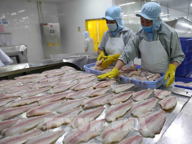 Provincia vietnamita insta a supervisar calidad de productos exportados a China ảnh 1 Provincia vietnamita insta a supervisar calidad de productos exportados a China ảnh 1