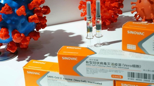 Aprueba Indonesia la vacuna china Sinovac para personas mayores ảnh 1 Aprueba Indonesia la vacuna china Sinovac para personas mayores ảnh 1