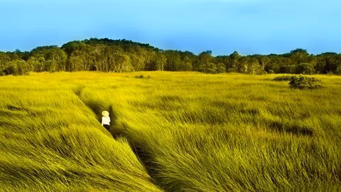 “Vidas flotantes” se proyecta en sede de la ONU ảnh 1 “Vidas flotantes” se proyecta en sede de la ONU ảnh 1