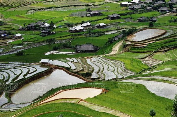 Semana cultura honra valores culturales de etnia Mong ảnh 1 Semana cultura honra valores culturales de etnia Mong ảnh 1