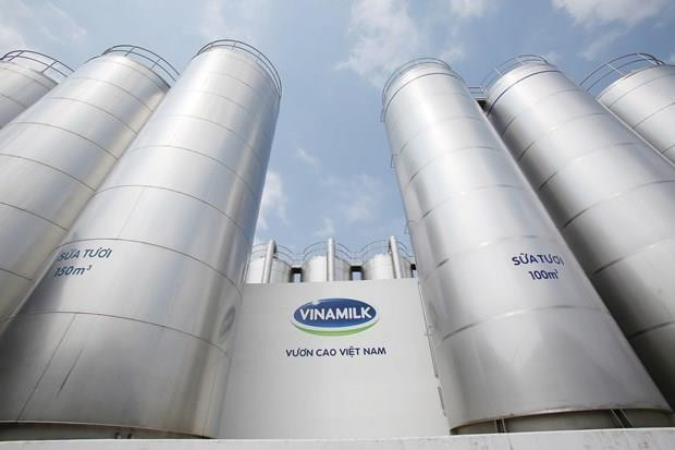Registra grupo lácteo vietnamita Vinamilk ingreso récord en segundo trimestre del año ảnh 1 Registra grupo lácteo vietnamita Vinamilk ingreso récord en segundo trimestre del año ảnh 1